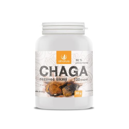 Allnature Chaga Rezavec šikmý 100 kapslí Allnature