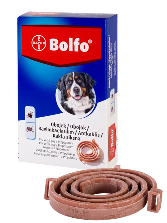 Bolfo 4