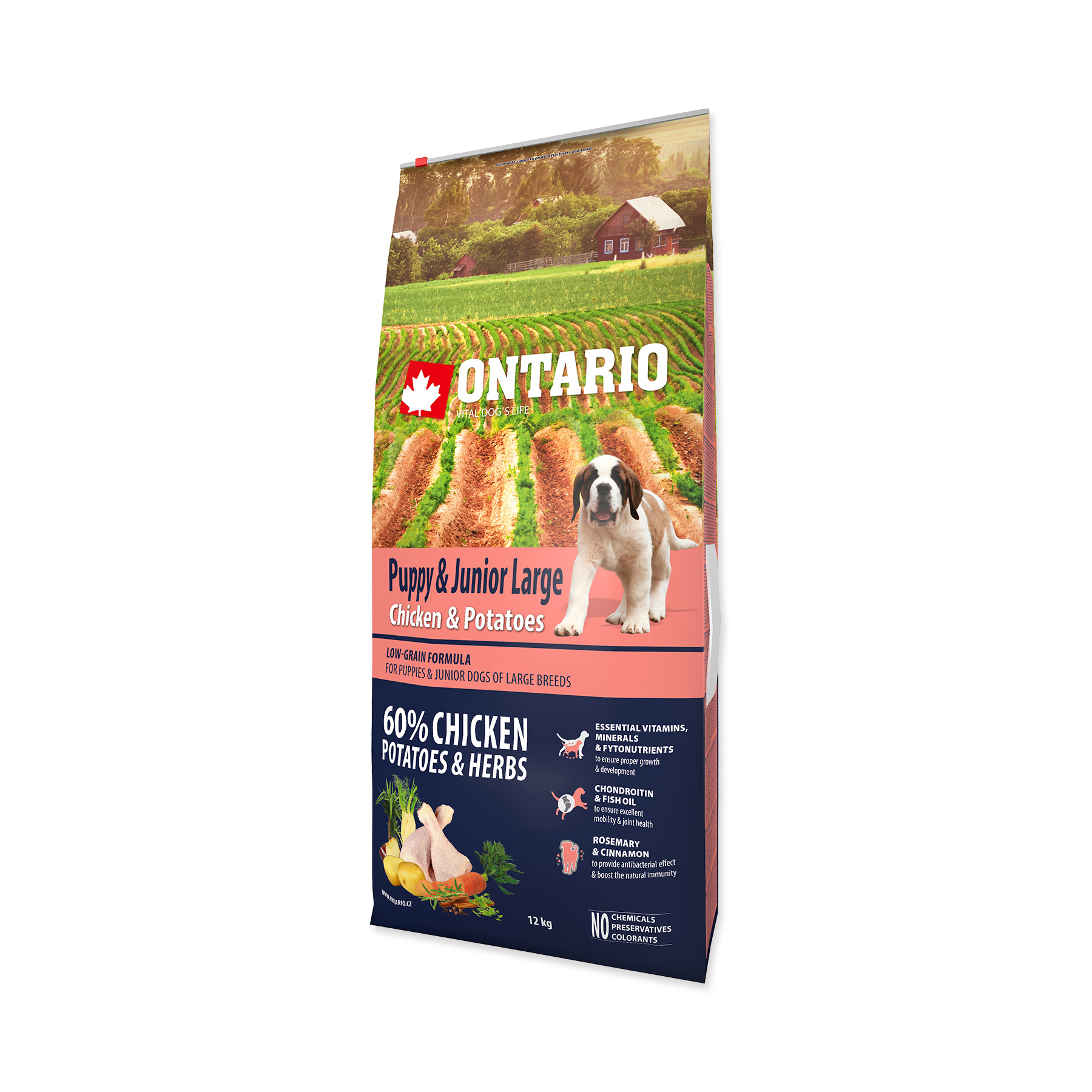 Ontario Puppy&Junior Large Chicken&Potatoes granule 12 kg Ontario